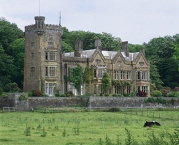 Stradey Castle Logo