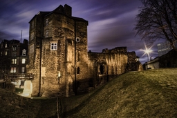 Newcastle Castle Logo