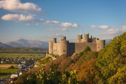 Caerphilly Castle Logo