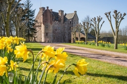 Dairsie Castle Logo