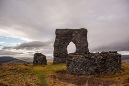 Dunnideer Castle Logo