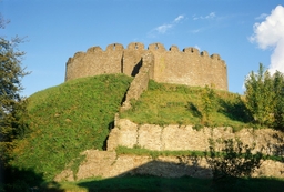 Totnes Castle Logo