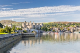 Conwy Castle Logo