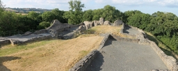 Dolforwyn Castle Logo