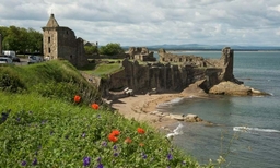 St Andrews Castle Logo