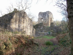 Ewloe Castle Logo