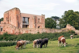 Astley Castle Logo