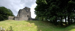 Crookston Castle Logo