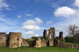 Codnor Castle Logo