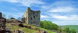 Peveril Castle Logo