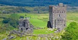 Dolwyddelan Castle Logo