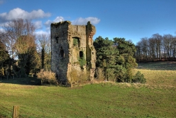 Balwearie Castle Tower Logo