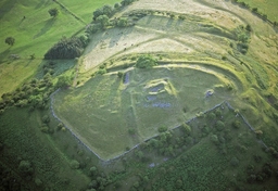 Dinas Castle Logo