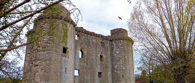 Nunney Castle Logo