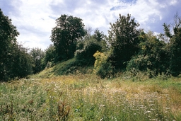 Deddington Castle Logo