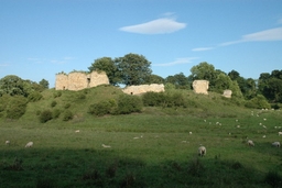 Mitford Castle Logo