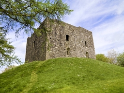 Lydford Castle and Saxon Town Logo