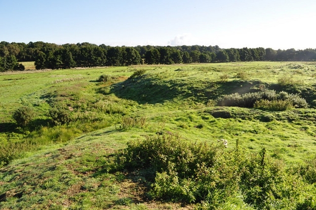 Horsford Motte and Bailey Castle Logo