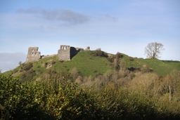 Dryslwyn Castle Logo