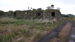 Barnes Castle (Vaults) Logo