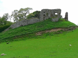 Skelbo Castle Logo