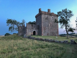 Balvaird Castle Logo