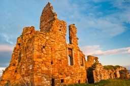 Newark Castle Logo