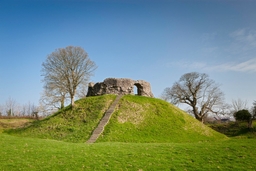 Wiston Castle Logo