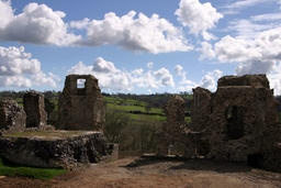 Narberth Castle Logo