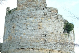 Hawarden Castle Logo