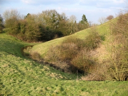 Brinklow Castle Logo