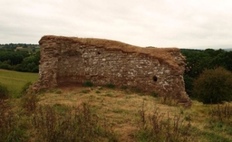 Kilpeck Castle Logo