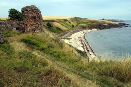 Ardross Castle Logo