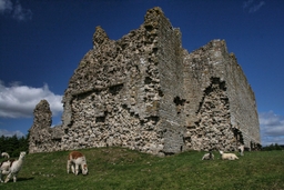 Bewcastle Castle Logo