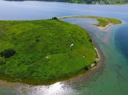 Grassy Island Fort Logo