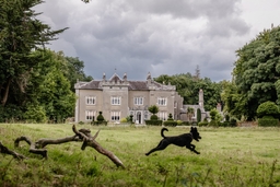 Shankill Castle Logo