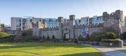 Dublin Castle Logo