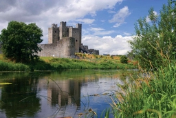 Trim Castle Logo