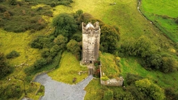 Dysert O'Dea Castle and Archaeology Centre Logo