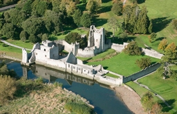 Adare Desmond Castle Logo