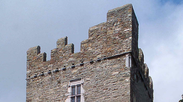 Desmond Castle Kinsale Logo