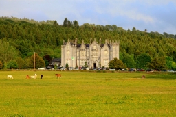 Kinnitty Castle Logo