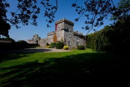 Fanningstown Castle Logo