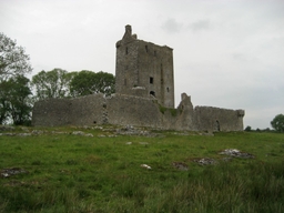 Fiddaun Castle Logo