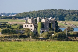 Ardfry Castle Logo