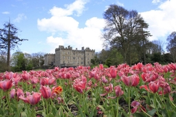 Waterford Castle Logo