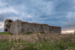 Ballymoon Castle Logo