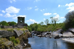 Carriganass Castle Logo