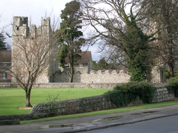 Monkstown Castle Logo