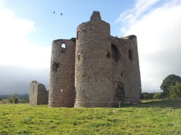 Ballyloughan Castle Logo